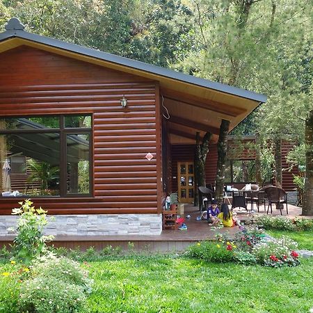 Puli Star Garden B&B Rum bild