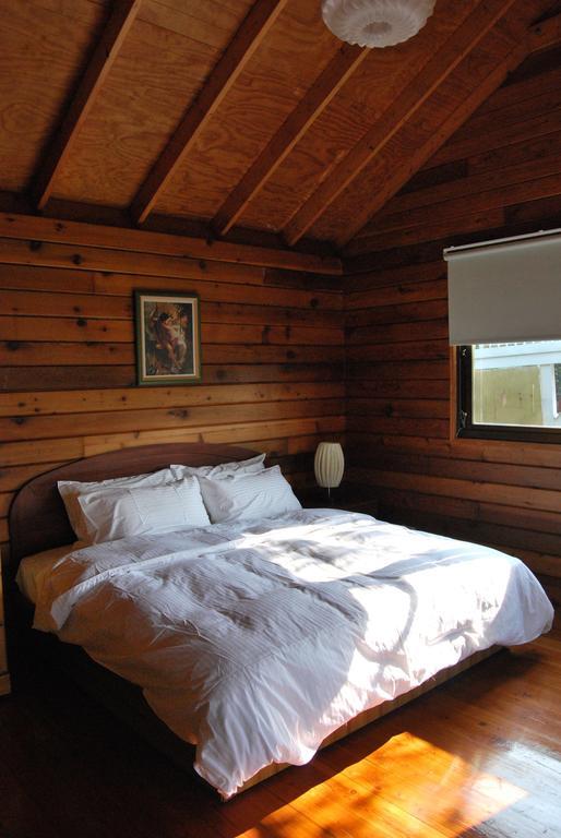 Puli Star Garden B&B Rum bild